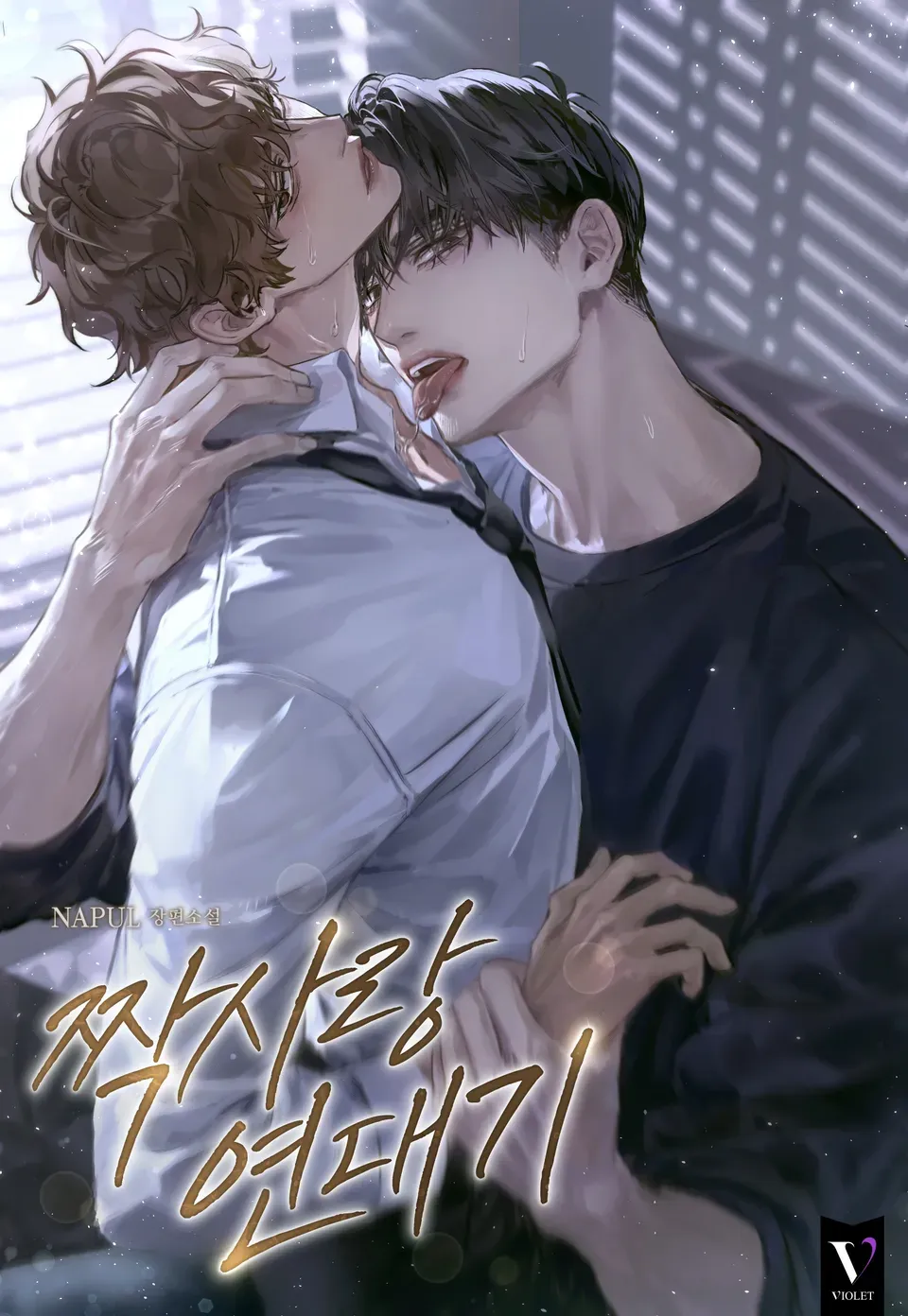 Biên Niên Sử Tình Yêu Đơn Phương Novel